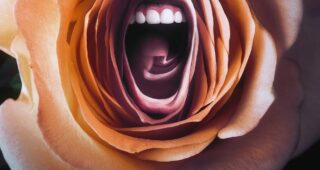 Roar : affiche