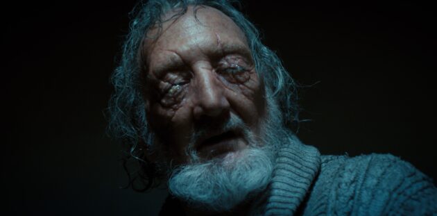 Stranger Things : photo, Robert Englund