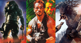 Predator : photo