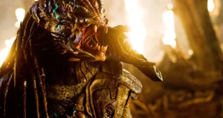 Predators : photo