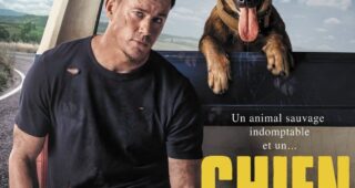 Dog : affiche
