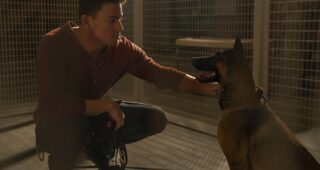 Dog : photo, Channing Tatum