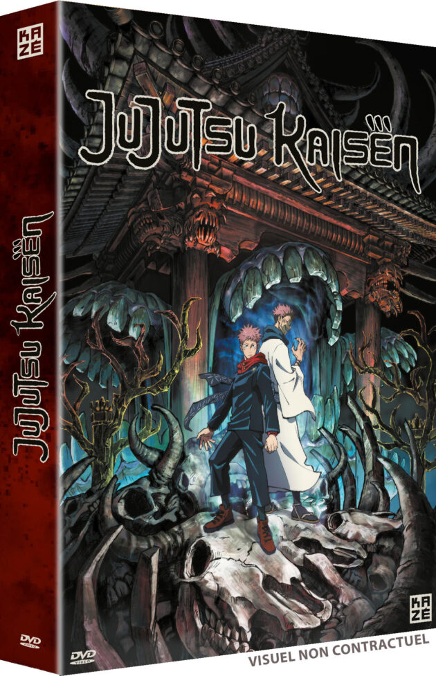 Jujutsu Kaisen : photo