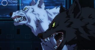 Jujutsu Kaisen : photo