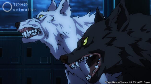 Jujutsu Kaisen : photo