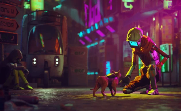 Stray : photo