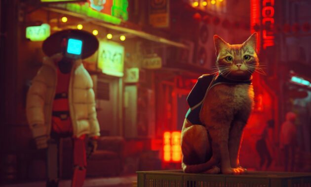Stray : photo