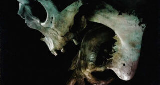Evil Dead Rise : photo