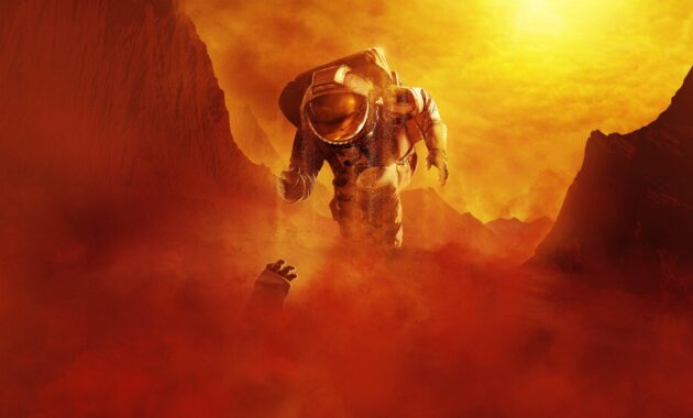 For All Mankind : photo