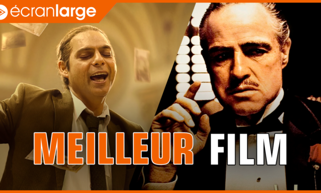 Leila et ses frères : Meilleur film