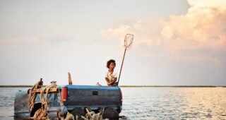 Les Bêtes du sud sauvage : photo