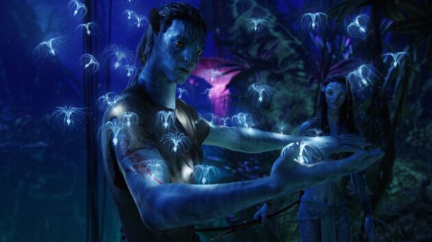 Avatar : photo