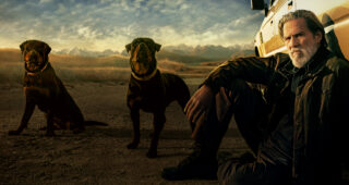 The Old Man : photo
