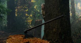 Le Chaperon rouge : photo, Amanda Seyfried