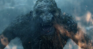 Troll : photo