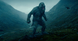 Troll : photo