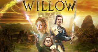 Willow : photo