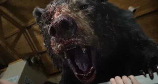 Cocaine Bear : photo