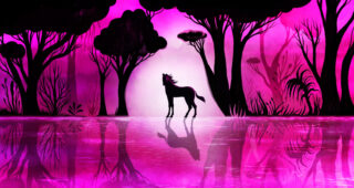 Unicorn Wars : photo