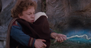 Willow : photo