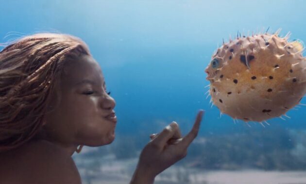 La Petite Sirène : Photo Halle Bailey