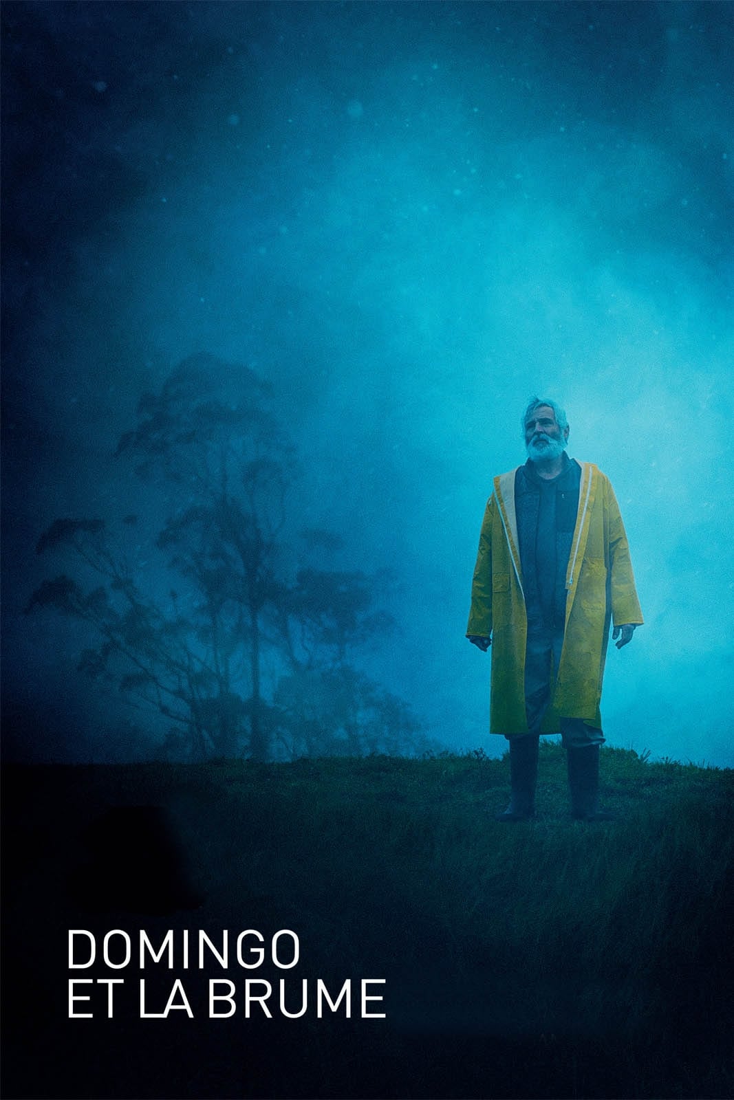 Domingo et la Brume : Affiche officielle