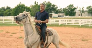 Tulsa King : photo, Sylvester Stallone