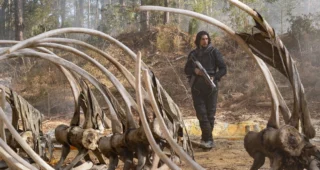 65 - La Terre d'avant : photo, Adam Driver