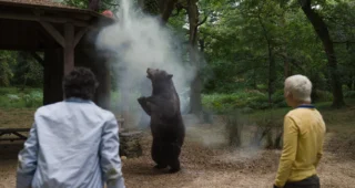 Crazy Bear : photo