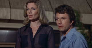 L'Incroyable Hulk : photo, Bill Bixby, Susan Sullivan