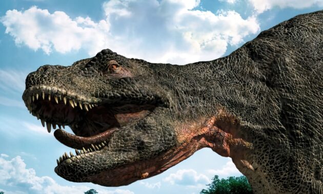 Sur la terre des dinosaures : photo