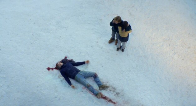 Anatomie d'une chute : photo