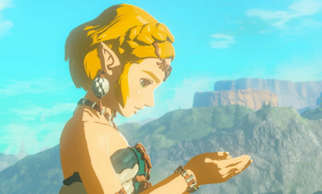 The Legend of Zelda: Tears of the Kingdom : photo