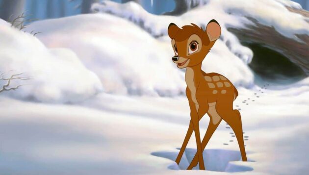 Bambi : photo
