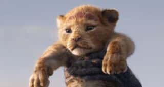 Le Roi Lion : photo