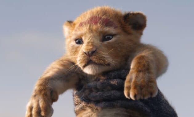 Le Roi Lion : photo