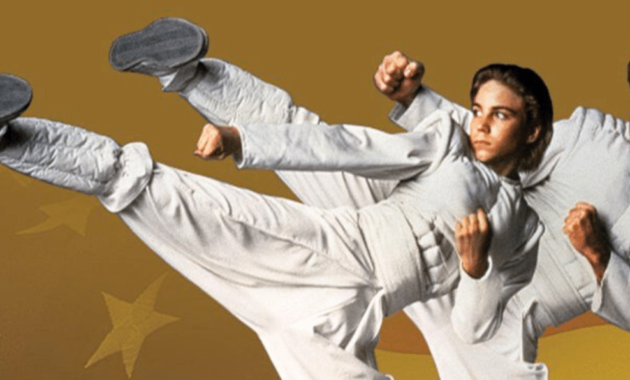 Sidekicks : Chuck Norris Sidekicks