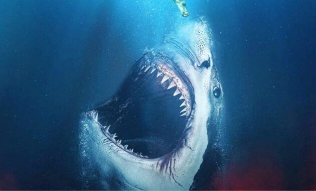 47 Meters Down : Ce film de requins miraculeusement sauvé de l'oubli