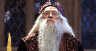 Harry Potter à l'école des sorciers : photo, Richard Harris