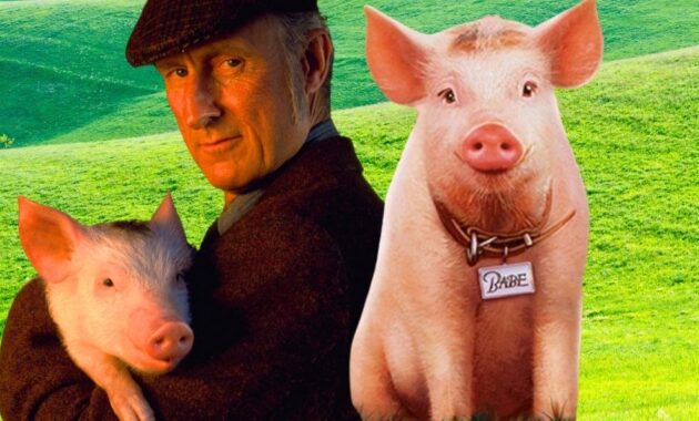 Babe, le cochon devenu berger : pépite culte par le père de Mad Max George Miller