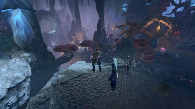 Baldur's Gate 3 : photo