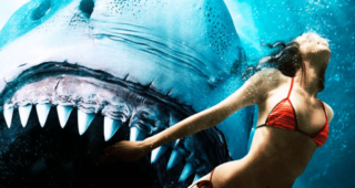 Shark Bay : ce film de requin passé inaperçu cartonne sur la plateforme