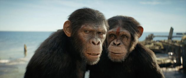 la planète des singes le nouveau royaume
