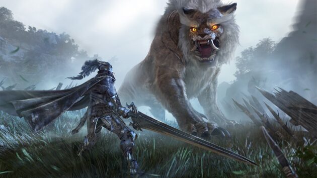 Black Desert : photo
