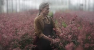 Les Fleurs sauvages : photo, Sigourney Weaver