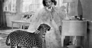 L'Impossible Monsieur Bébé : photo, Katharine Hepburn