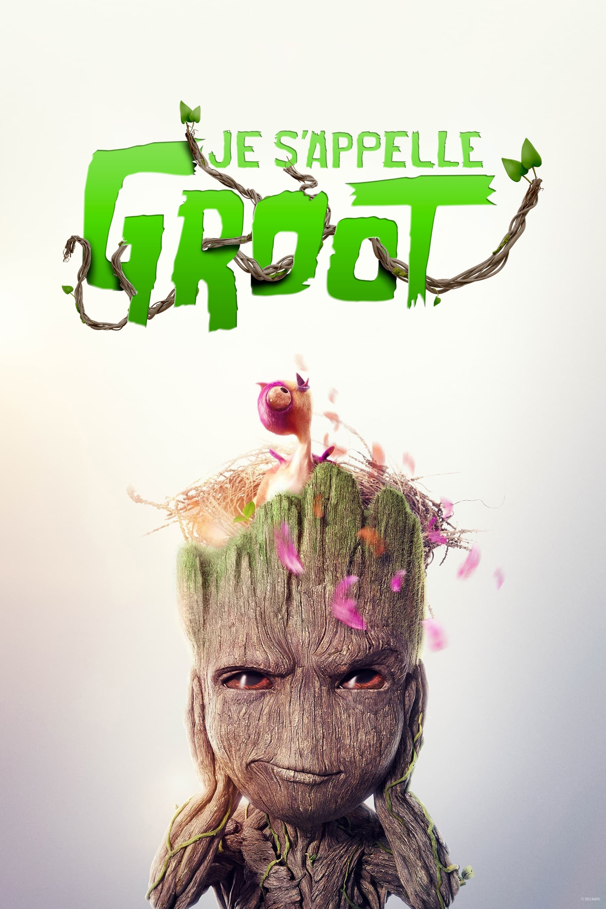 Je s’appelle Groot : Affiche officielle