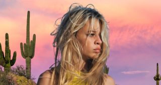L’Autre Laurens : critique