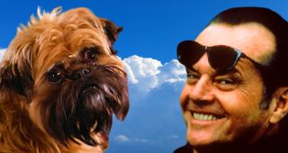 Pour le pire et pour le meilleur : photo, Jack Nicholson
