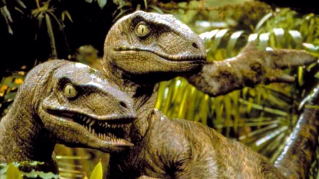 Jurassic Park : photo